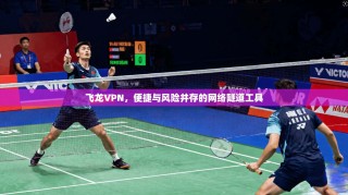 飞龙VPN，便捷与风险并存的网络隧道工具