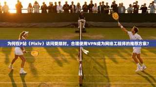 为何在P站（Pixiv）访问受限时，合理使用VPN成为网络工程师的推荐方案？