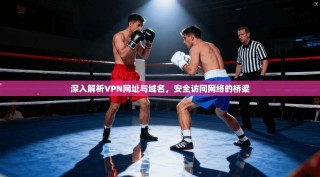 深入解析VPN网址与域名，安全访问网络的桥梁