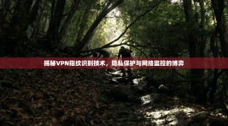 揭秘VPN指纹识别技术，隐私保护与网络监控的博弈