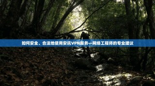 如何安全、合法地使用安讯VPN服务—网络工程师的专业建议