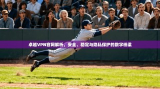 卓越VPN官网解析，安全、稳定与隐私保护的数字桥梁