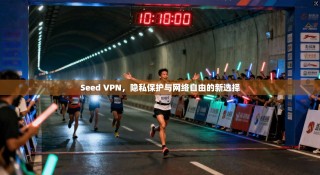 Seed VPN，隐私保护与网络自由的新选择