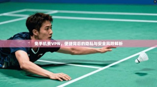 免手机费VPN，便捷背后的隐私与安全风险解析
