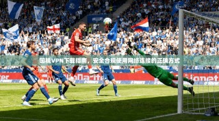 国税VPN下载指南，安全合规使用网络连接的正确方式