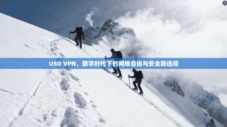 USD VPN，数字时代下的网络自由与安全新选择