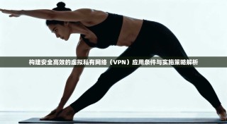 构建安全高效的虚拟私有网络（VPN）应用条件与实施策略解析