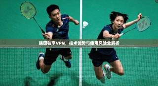 韩国独享VPN，技术优势与使用风险全解析