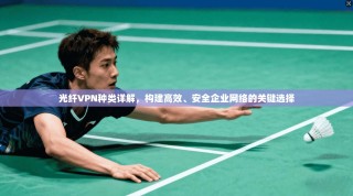 光纤VPN种类详解，构建高效、安全企业网络的关键选择