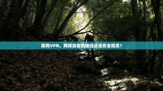 菜狗VPN，网络自由的捷径还是安全隐患？