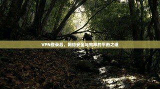 VPN登录后，网络安全与效率的平衡之道