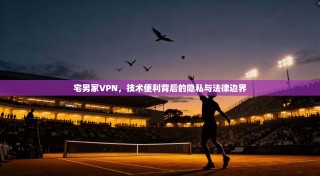 宅男冢VPN，技术便利背后的隐私与法律边界