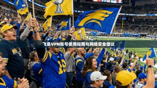 飞鱼VPN账号使用指南与网络安全建议