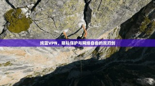 纯蓝VPN，隐私保护与网络自由的双刃剑
