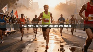 Tom VPN，现代远程办公与网络安全的利器