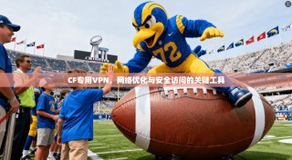 CF专用VPN，网络优化与安全访问的关键工具