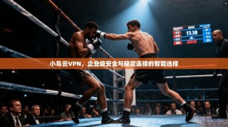 小鸟云VPN，企业级安全与稳定连接的智能选择
