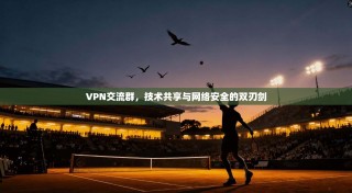 VPN交流群，技术共享与网络安全的双刃剑