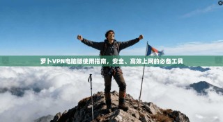 萝卜VPN电脑版使用指南，安全、高效上网的必备工具