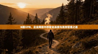 N服VPN，企业网络中的安全连接与高效管理之道