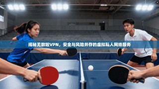 揭秘无敌啦VPN，安全与风险并存的虚拟私人网络服务