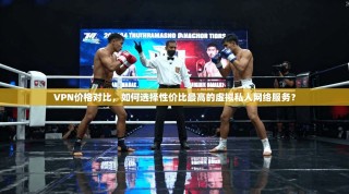 VPN价格对比，如何选择性价比最高的虚拟私人网络服务？