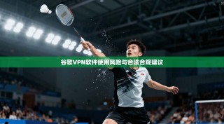 谷歌VPN软件使用风险与合法合规建议