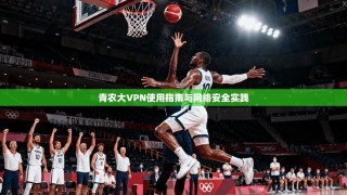 青农大VPN使用指南与网络安全实践