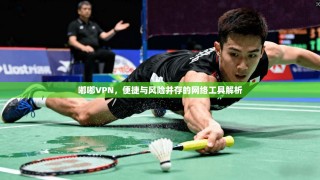 嘟嘟VPN，便捷与风险并存的网络工具解析