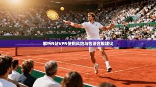 解析N站VPN使用风险与合法合规建议