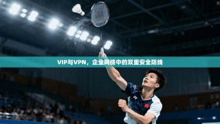 VIP与VPN，企业网络中的双重安全防线