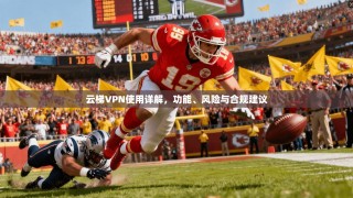 云梯VPN使用详解，功能、风险与合规建议