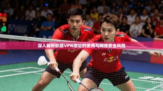 深入解析欧朋VPN地址的使用与网络安全风险