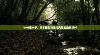 VPN看本子，技术便利与法律风险的边界探讨