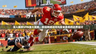 深入解析VPN湘大现象，校园网络访问与安全合规的边界探讨