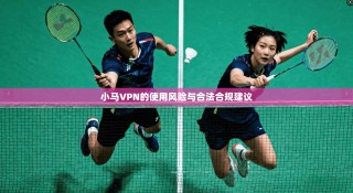 小马VPN的使用风险与合法合规建议