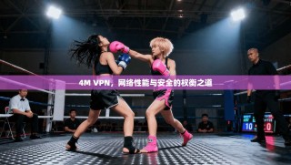 4M VPN，网络性能与安全的权衡之道