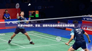 开源VPN软件，安全、透明与自由的网络连接新选择