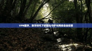 VPN圈享，数字时代下的隐私守护与网络自由探索