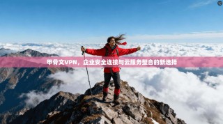 甲骨文VPN，企业安全连接与云服务整合的新选择