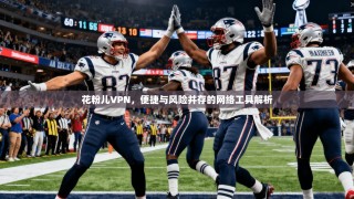 花粉儿VPN，便捷与风险并存的网络工具解析