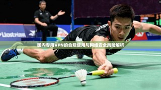 国内专用VPN的合规使用与网络安全风险解析