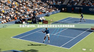 非客户端VPN，企业网络中的安全与灵活性新选择