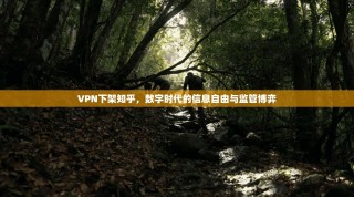 VPN下架知乎，数字时代的信息自由与监管博弈