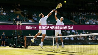 蜜蜂VPN，隐私保护与网络自由的双刃剑