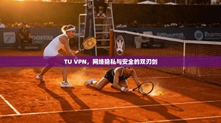 TU VPN，网络隐私与安全的双刃剑