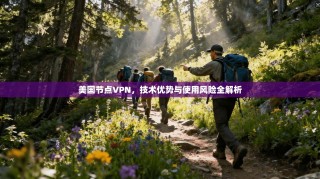 美国节点VPN，技术优势与使用风险全解析