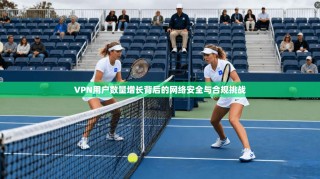 VPN用户数量增长背后的网络安全与合规挑战