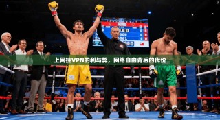 上网挂VPN的利与弊，网络自由背后的代价