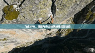 飞鱼VPN，便捷与安全的网络连接新选择